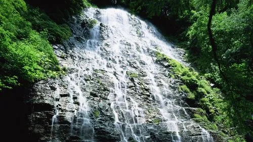 高精度全自动数字化